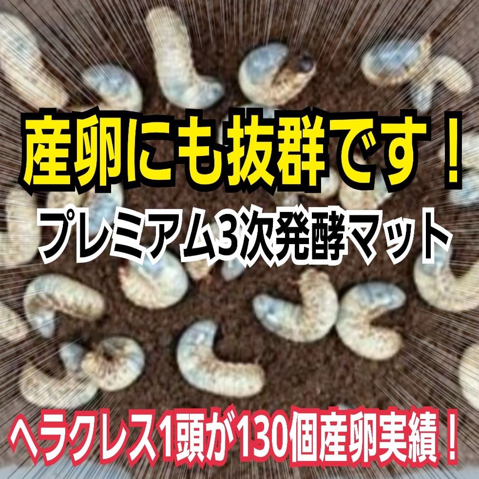 極上品！ヘラクレス181リミ羽化！プレミアム3次発酵カブトムシマット【100L】