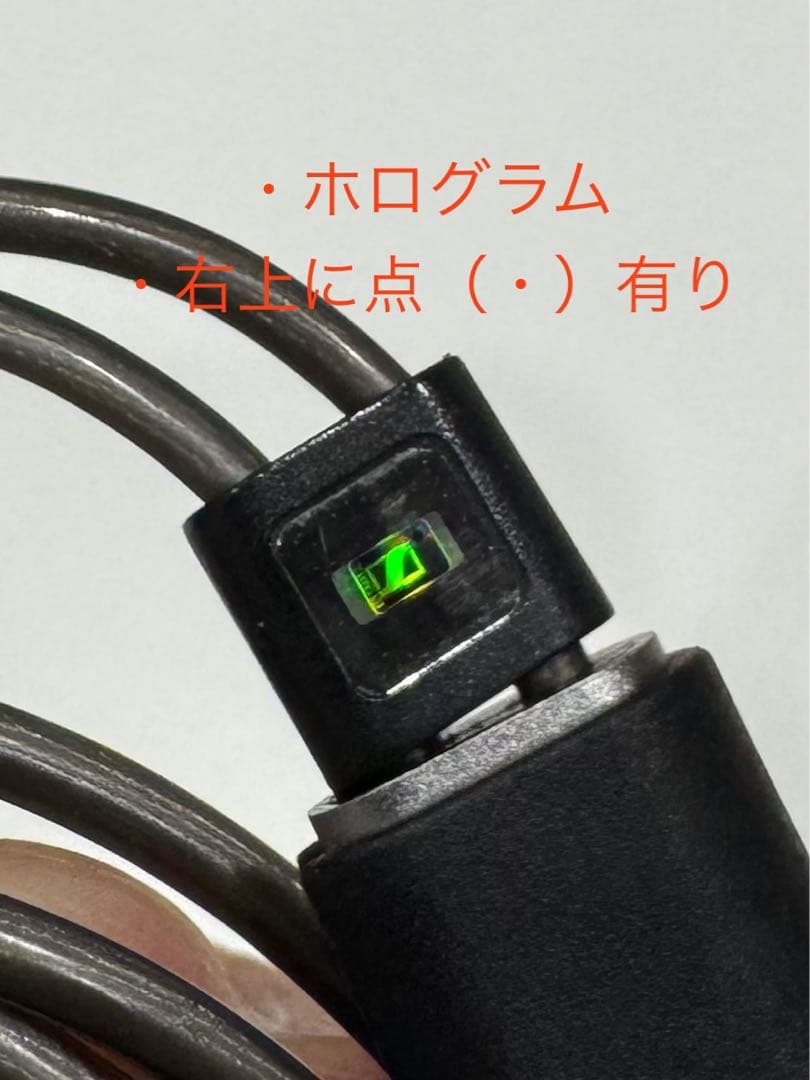 【正規品・美品】Sennheiser IE 900 本物証明写真あり イヤホン