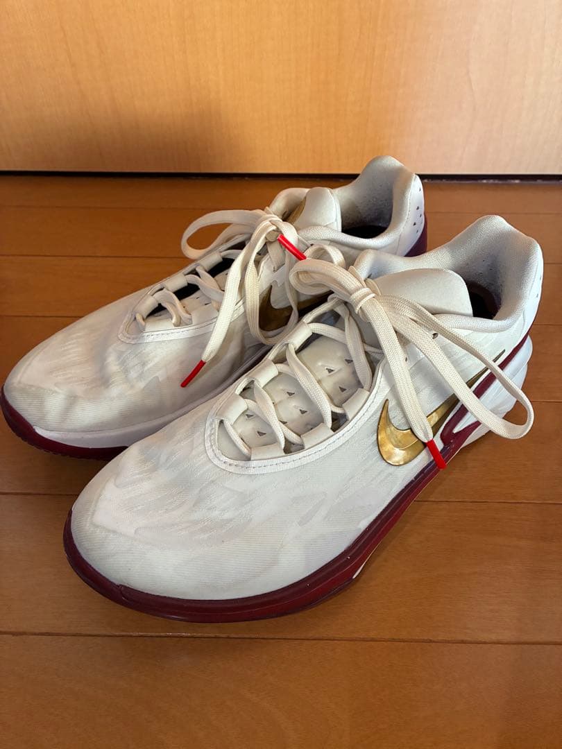 Nike g.t. cut 2 ナイキGTカット2