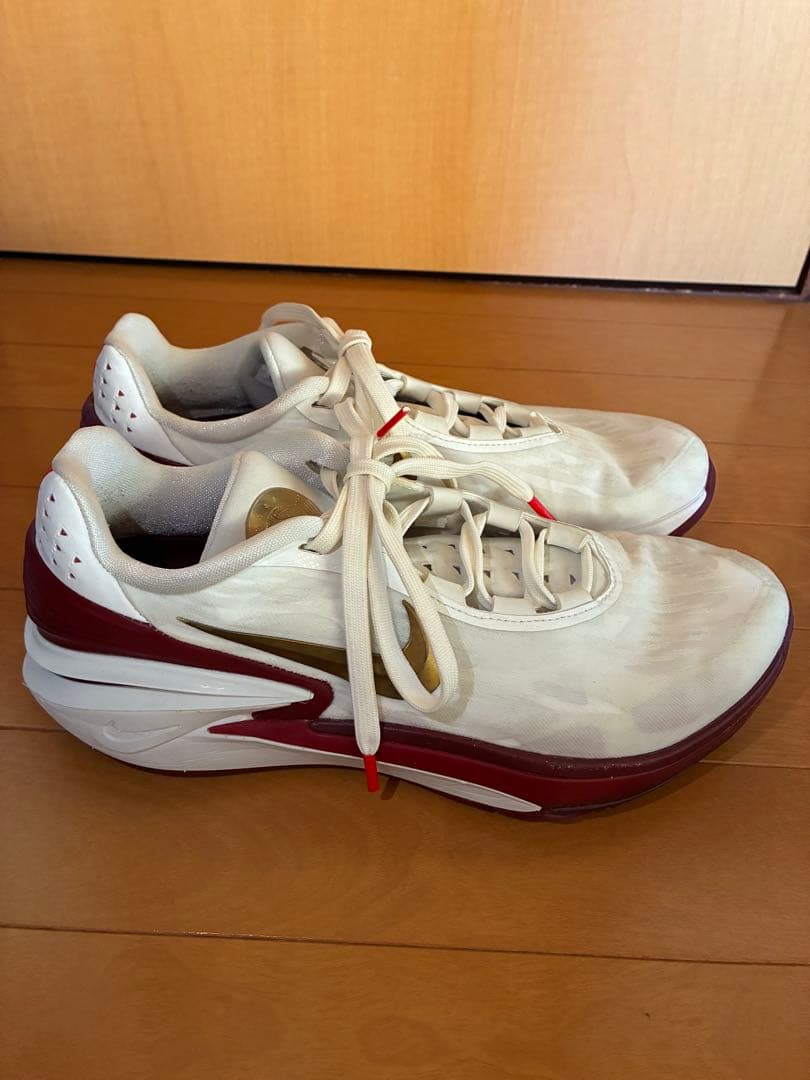 Nike g.t. cut 2 ナイキGTカット2