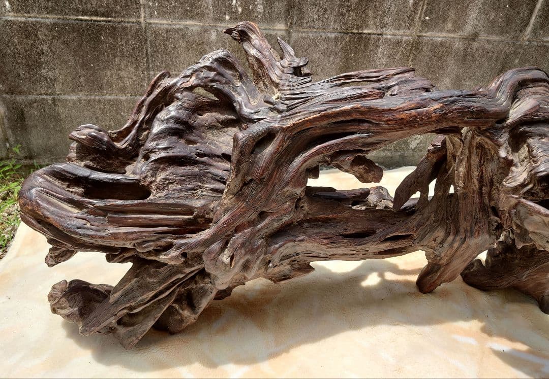 天然木根瘤 自然造形花器 置物 鑑賞木 瘤木 木のオブジェ 根木台 飾台 木目