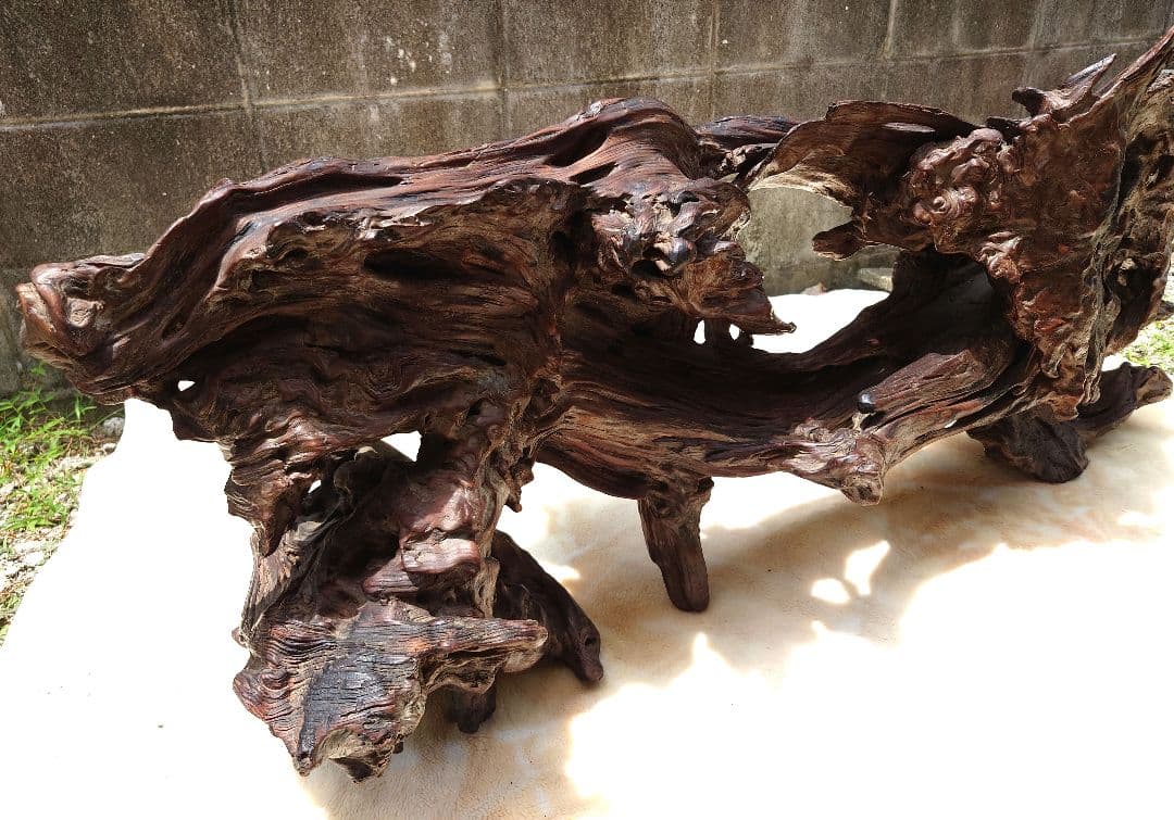 天然木根瘤 自然造形花器 置物 鑑賞木 瘤木 木のオブジェ 根木台 飾台 木目