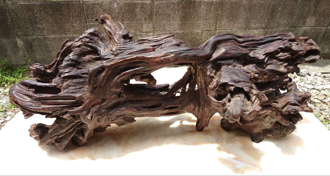 天然木根瘤 自然造形花器 置物 鑑賞木 瘤木 木のオブジェ 根木台 飾台 木目