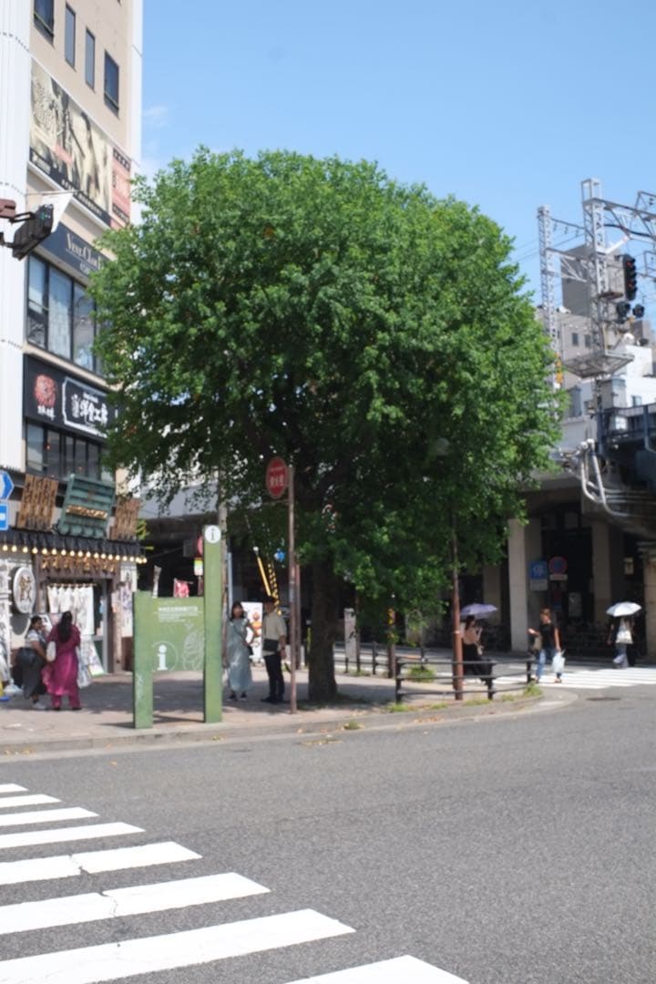 【作例あり】 FUJIFILM X-Pro1 25mmレンズ ミラーレス