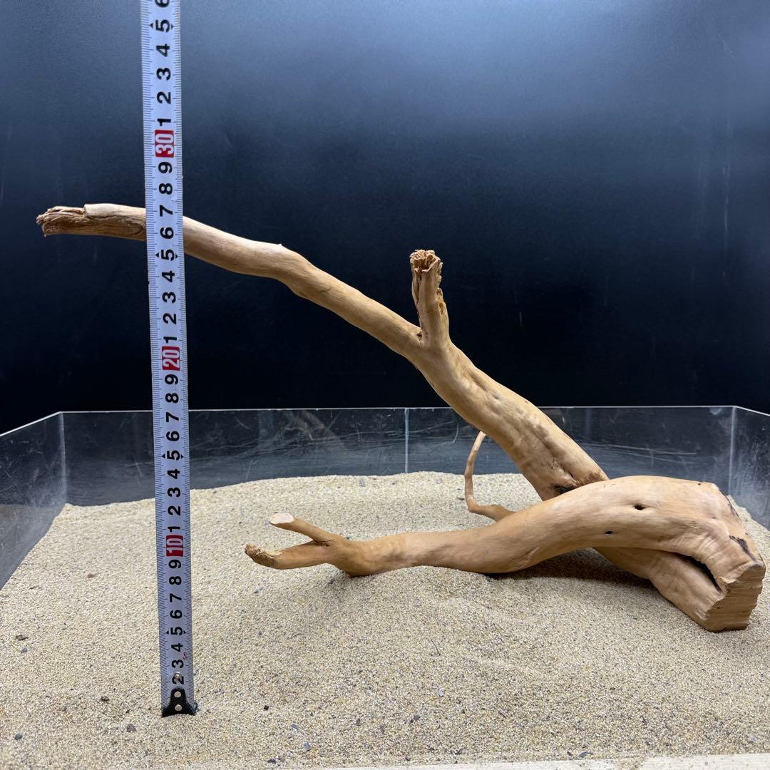 MDW-7161 特大ブランチウッド3本セット　流木　枝流木　アクアリウム