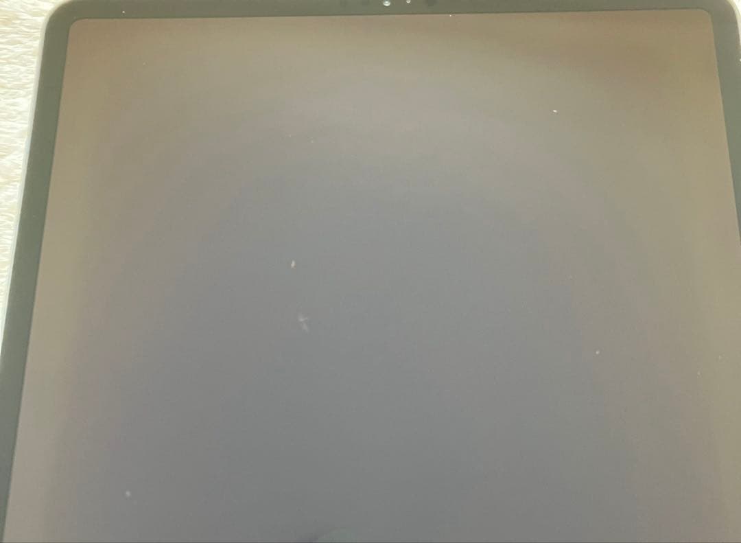 【早い者勝ち】iPad Pro 12.9 第３世代 256GB 【すぐ発送】