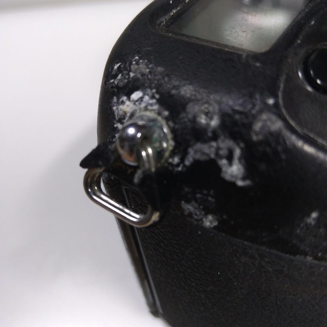 フィルムカメラ Nikon F6