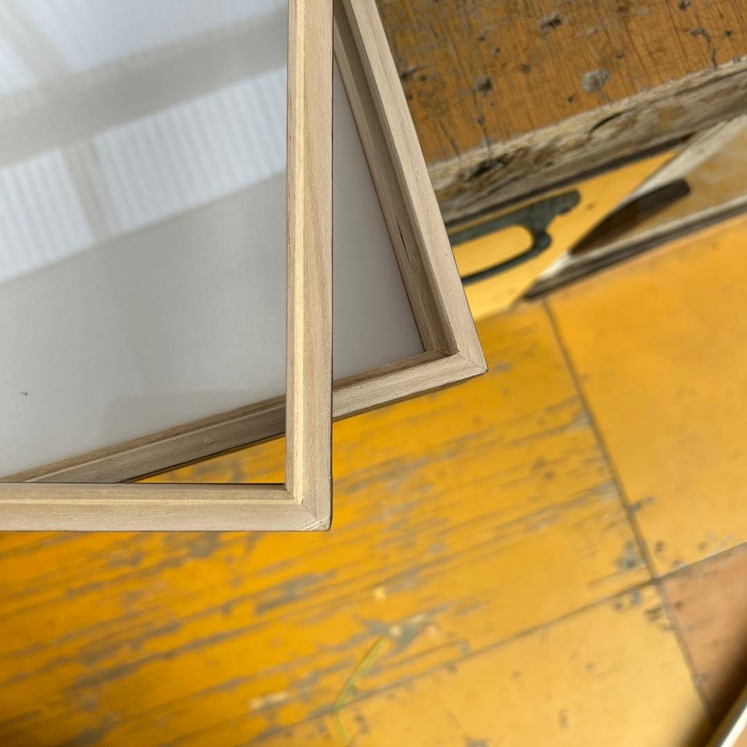 中型標本箱　4箱