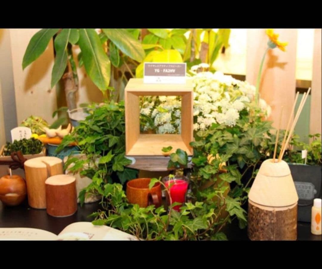 LexusのForest Notes ワイヤレスアクティブスピーカー希少品