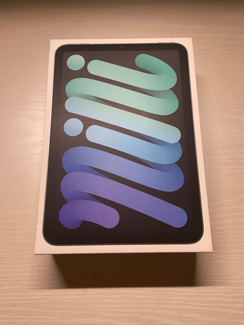 iPad mini 第7世代 Cellular /128GB スペースグレイ