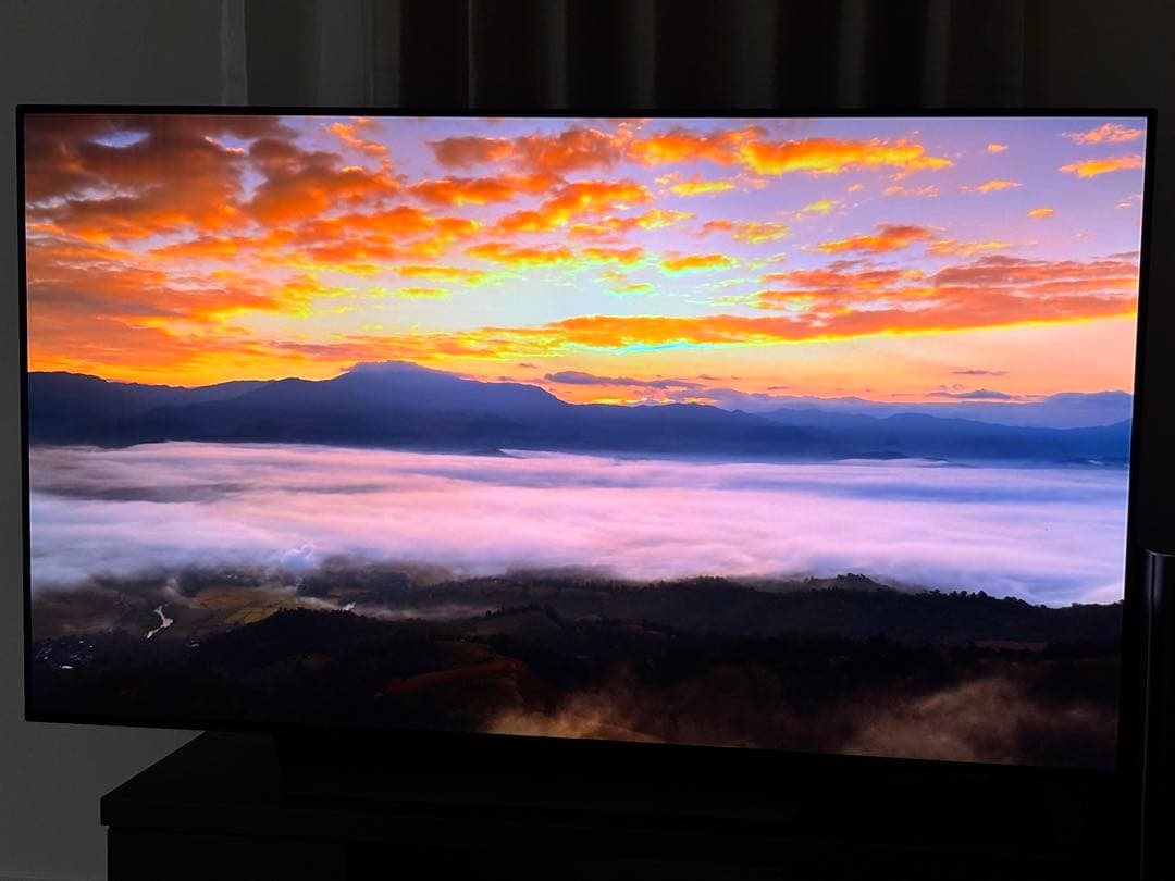 【仙台市 引取り限定】LG OLED 55インチテレビ OLED55B8PJA