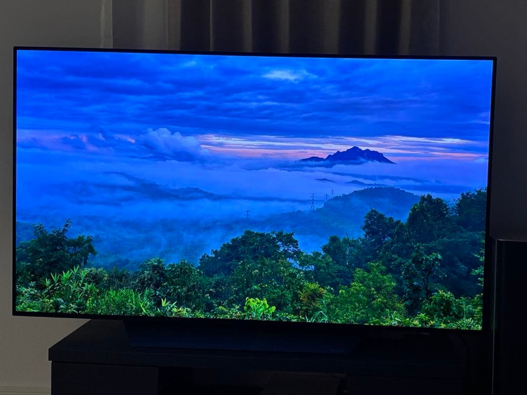 【仙台市 引取り限定】LG OLED 55インチテレビ OLED55B8PJA
