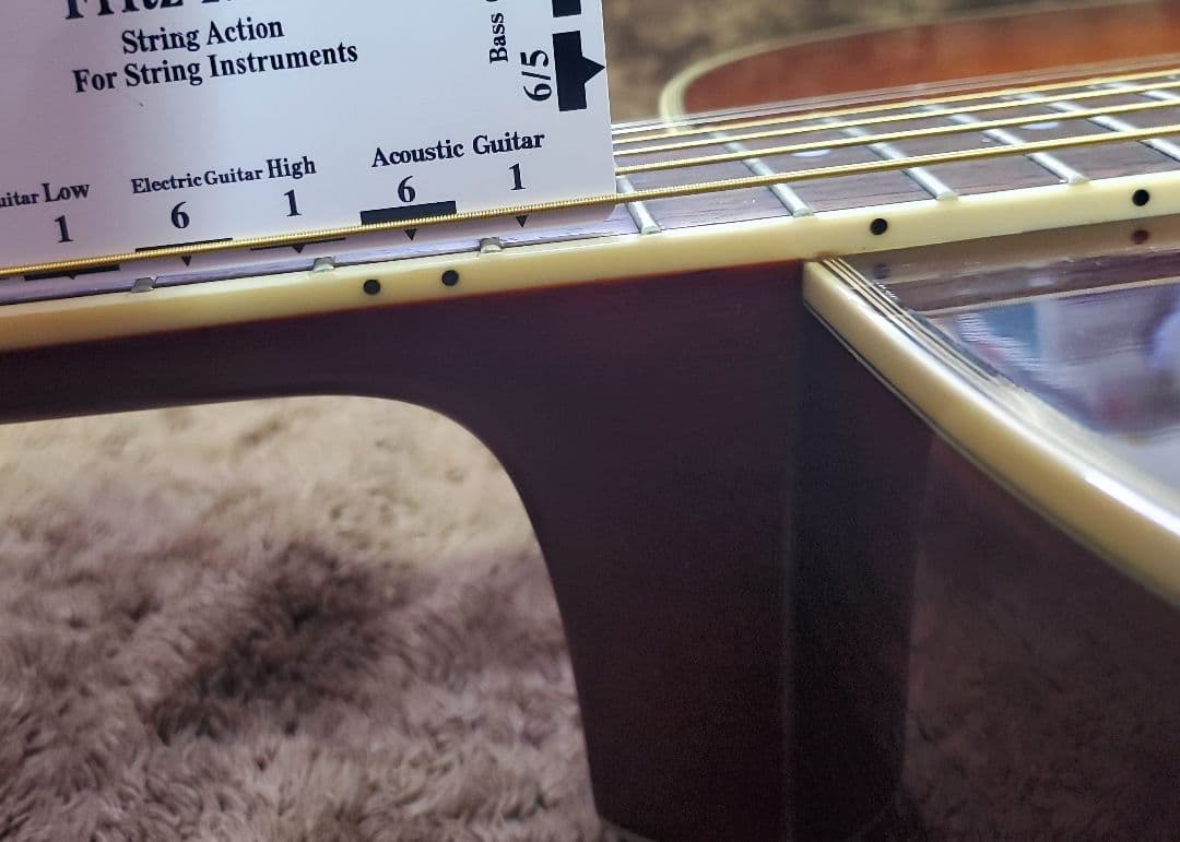 Morris M-50 ハカランダ ジャパンヴィンテージギター ハードケース付