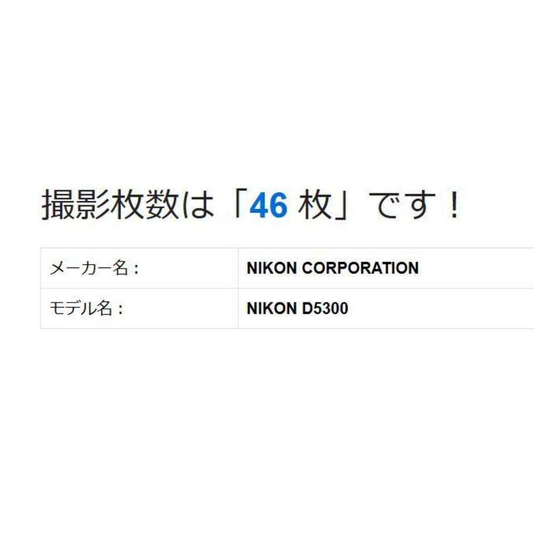 ❤即購入1000円OFF❤ Nikon D5300 シャッター46枚 グレー