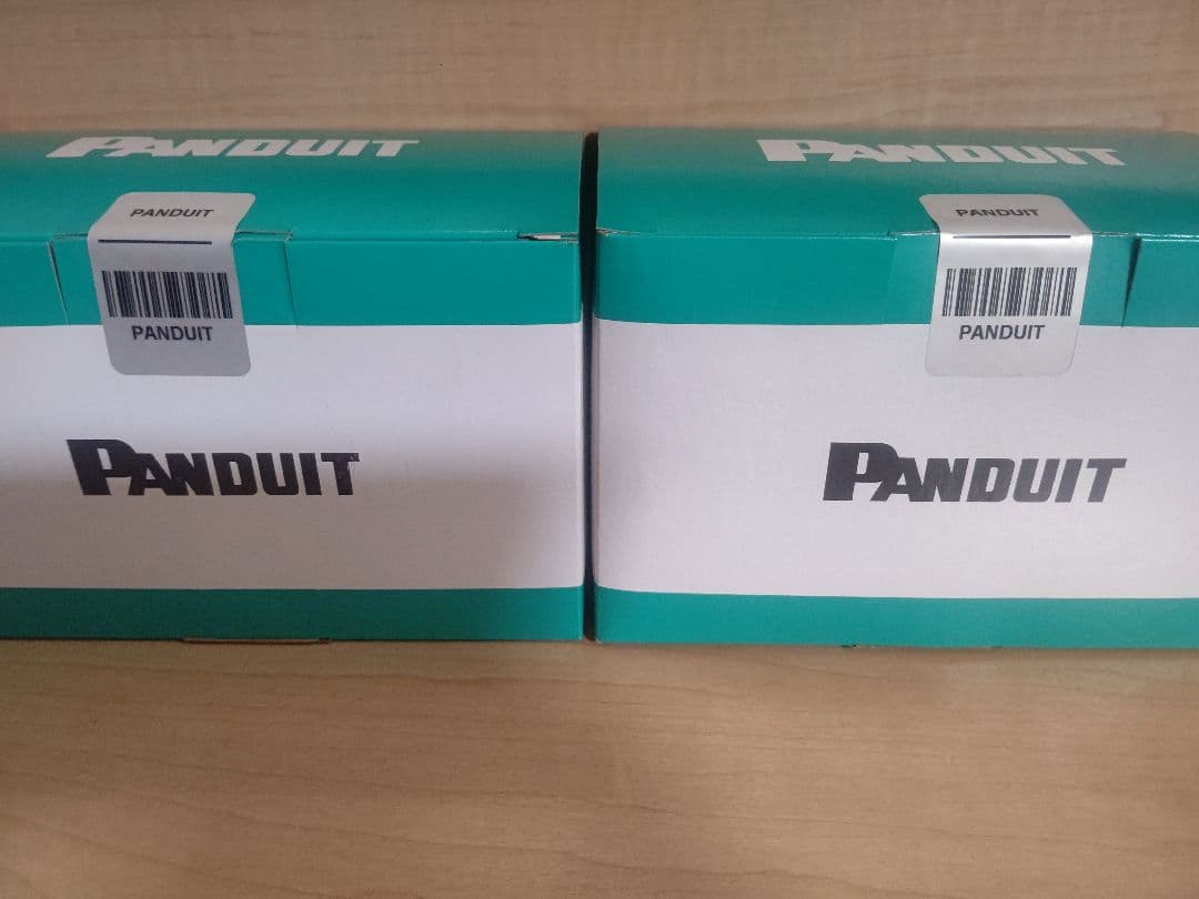 パンドウイット LANコネクタ Cat6A 100個入 SP6X88-C 2箱