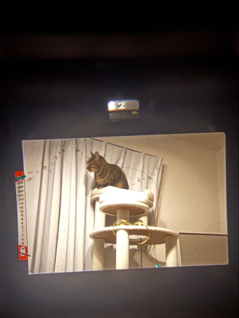 Nikon FE2 フィルムカメラ