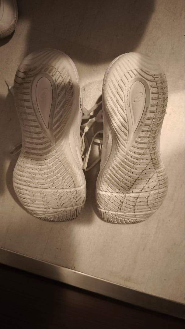 シューズ(男性用) ASICS Nova Surge 2 Low