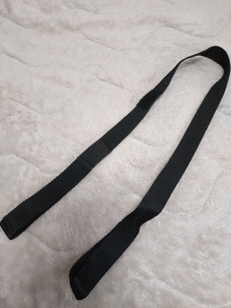 AIRBUGGY PET(DOME2,ブレーキモデル,M)