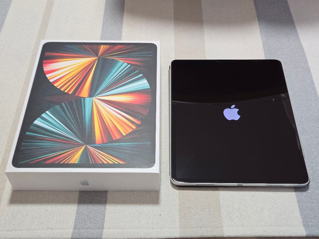 【極美品】Apple iPad Pro 12.9 第5世代 256GB