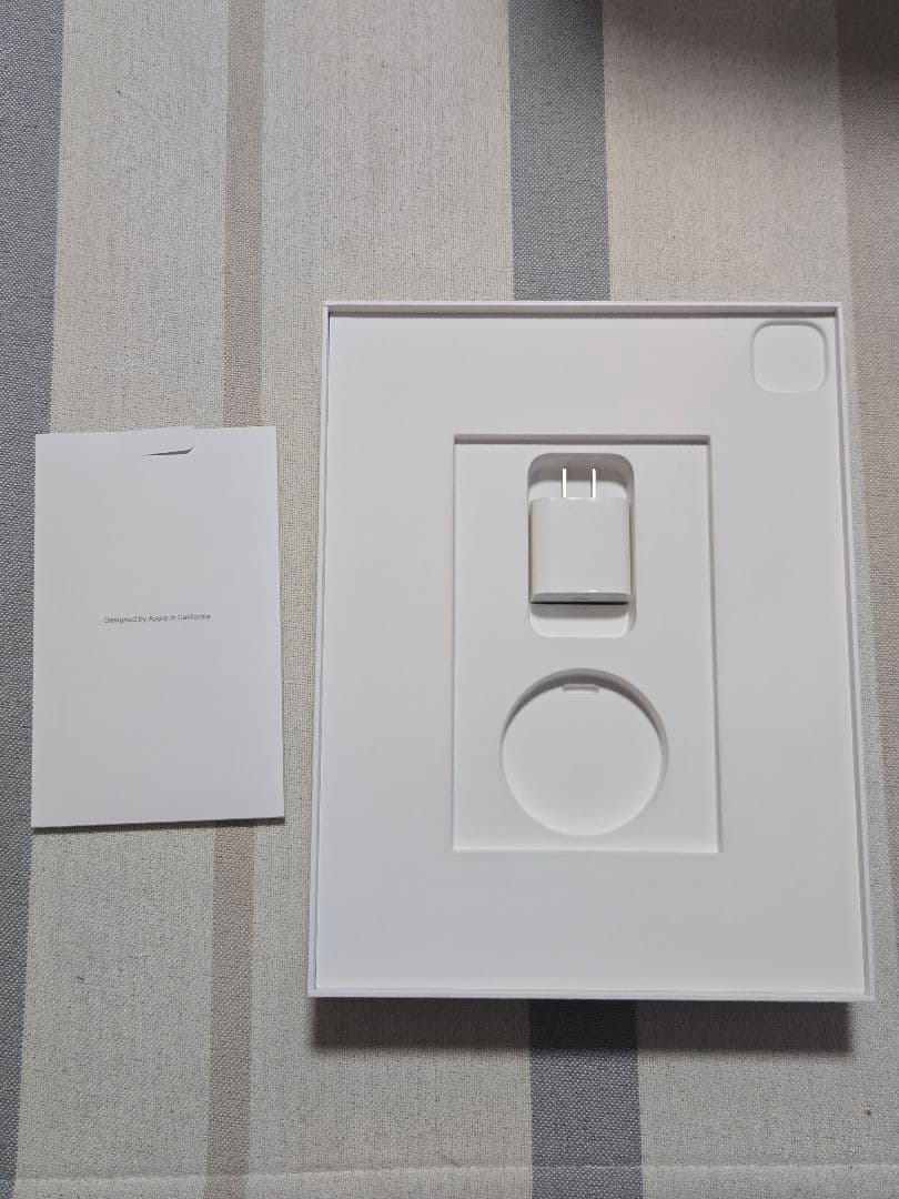 【極美品】Apple iPad Pro 12.9 第5世代 256GB