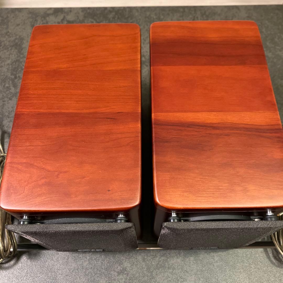 Victor ビクター ウッドコーンスピーカー SP-EXA1