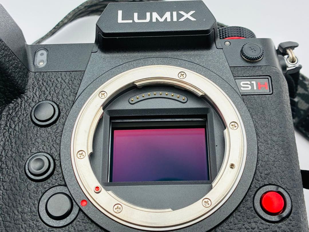 【極美品】Panasonic LUMIX S1H ボディ DC-S1H