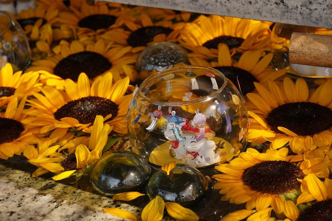 SONY α6000美品 ミラーレスカメラ - WHITE