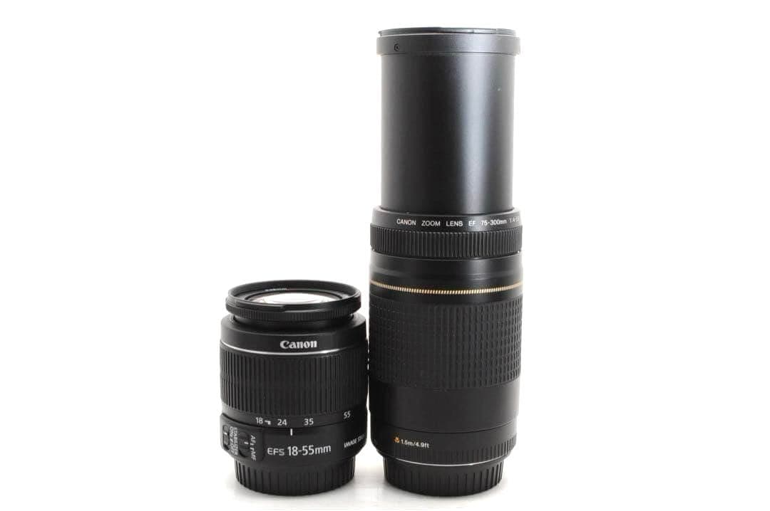 Canon EOS 60D✨一眼レフカメラ スマホ転送　ダブルズームキット