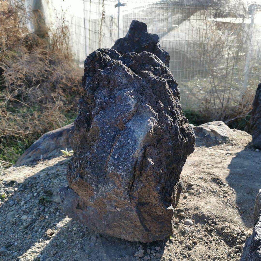 富士　溶岩石　146キロ　庭石　鑑賞石　石　庭　坪庭　ガーデニング　置物