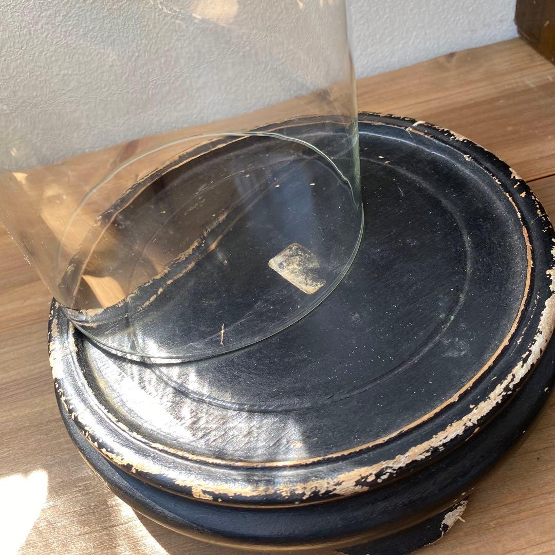 フランス　ベルギー　ガラスドーム　展示ケース　アンティーク　古道具　木　黒