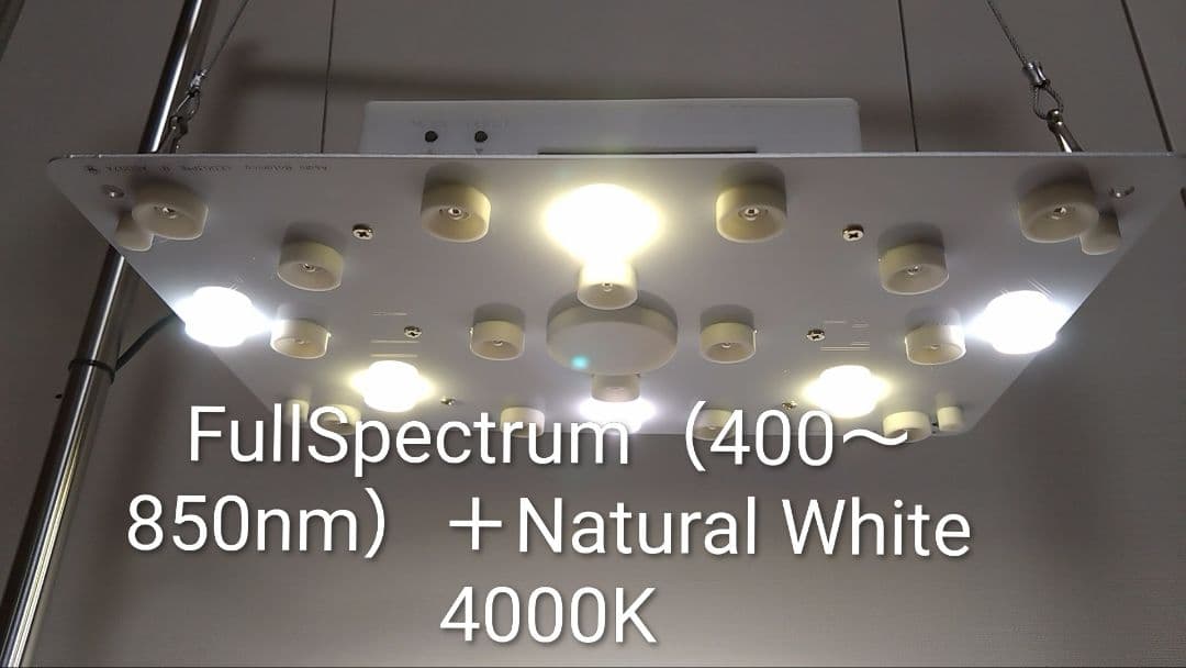 【L10W】多肉&塊根育成　水槽照明　タイマー付LEDライト（DC専用）