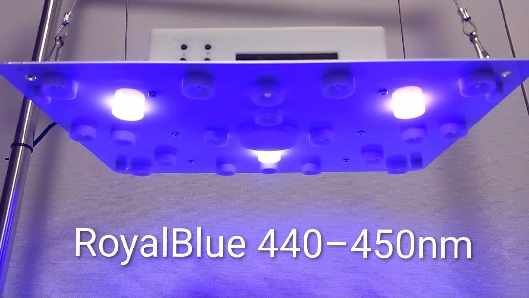 【L10W】多肉&塊根育成　水槽照明　タイマー付LEDライト（DC専用）