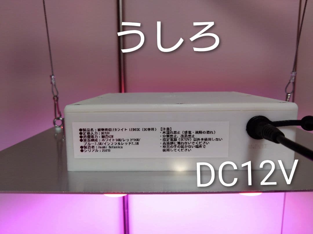 【L10W】多肉&塊根育成　水槽照明　タイマー付LEDライト（DC専用）