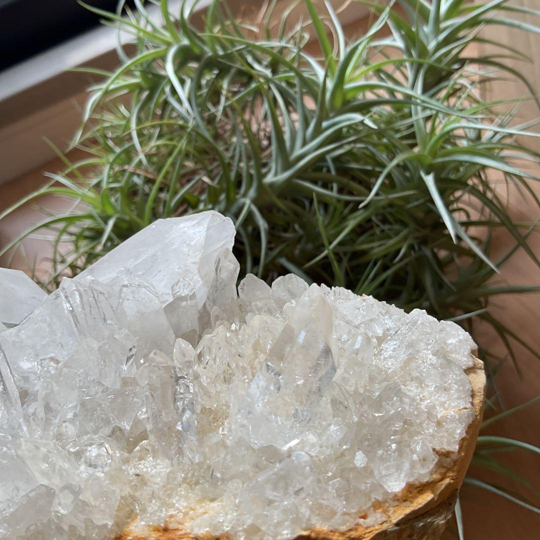 ミナスジェライス州 トマスゴンサガ産 水晶クラスター エクセレントクラス