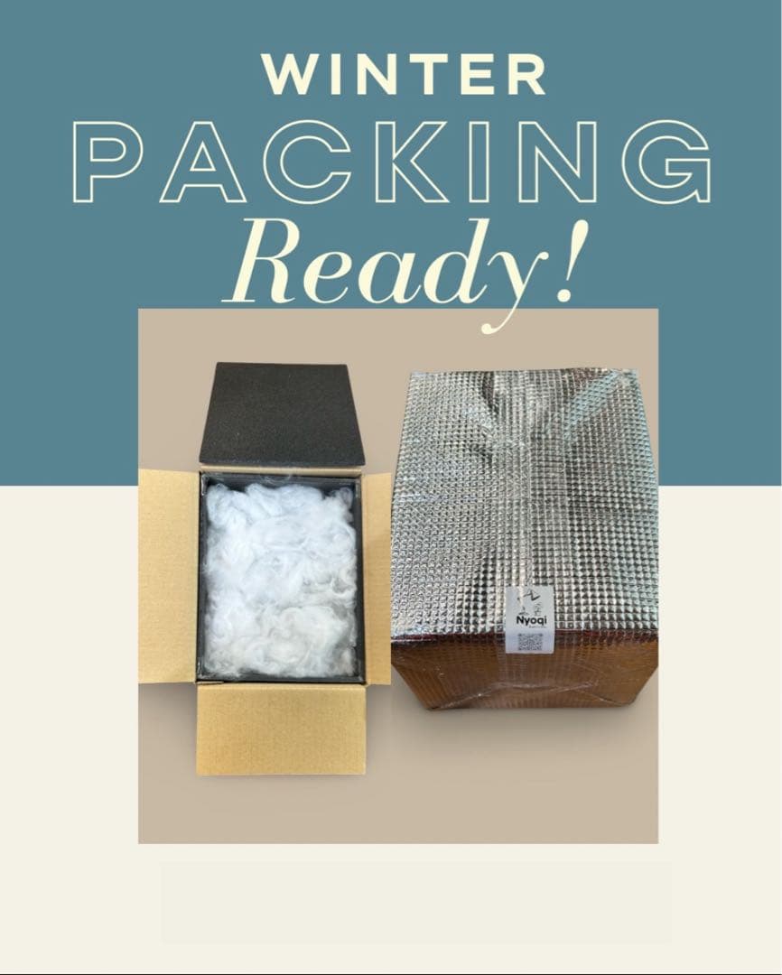 【メルカリ便】P. Willinckii Totoro' （spore）【99】