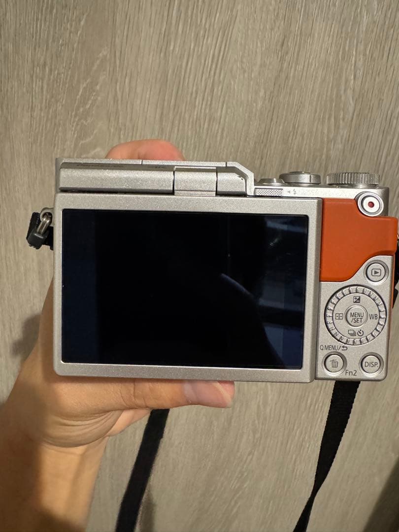 LUMIX G DC-GF9W ミラーレスカメラ