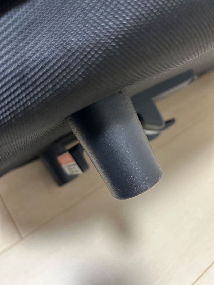 本体AIRBUGGY エアバギードーム3 ラージ アースブラックレイカバー付