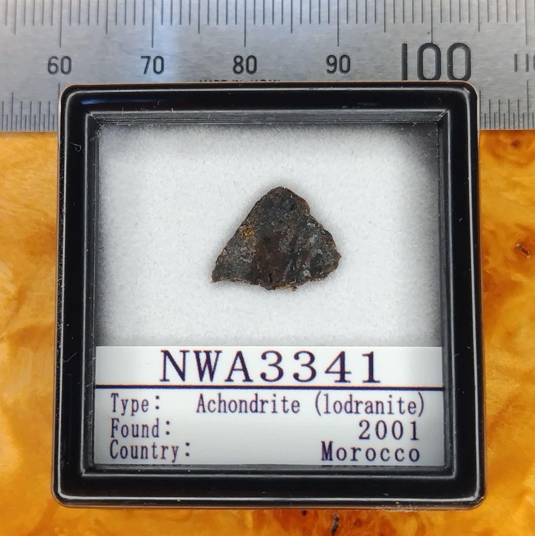 超希少！ロードラナイト✨NWA3341（原始的無球粒）隕石標本