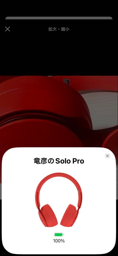 L*o様 Beats by Dre Solo Pro レッド