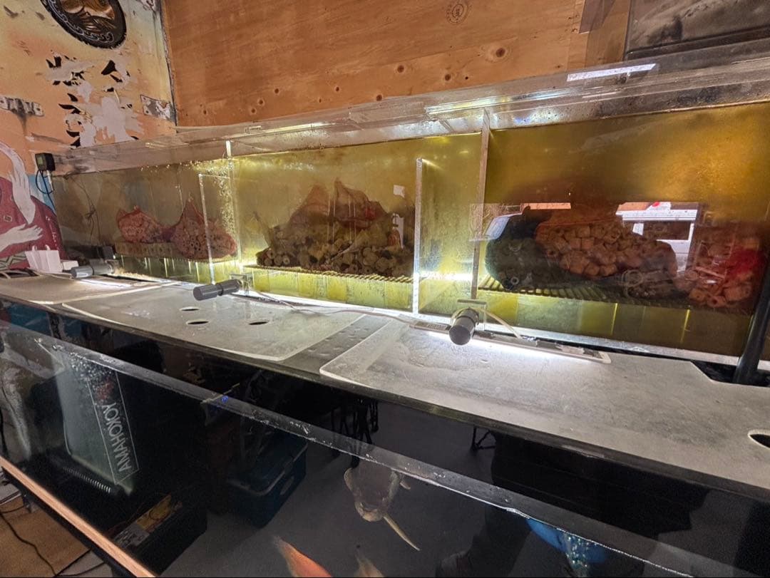 大型水槽セット