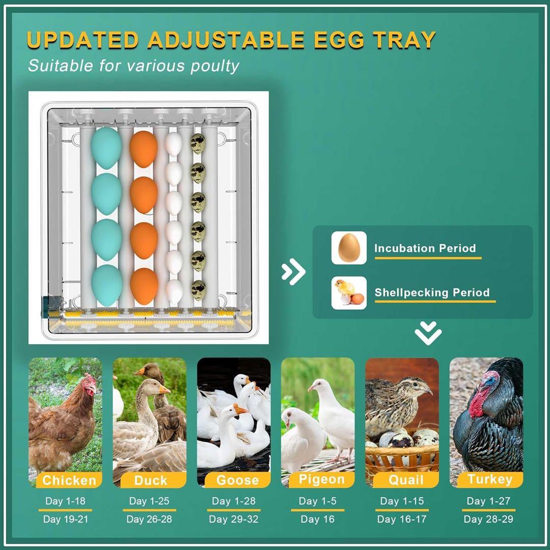 EGG INCUBATOR 最大12個用 自動湿度管理