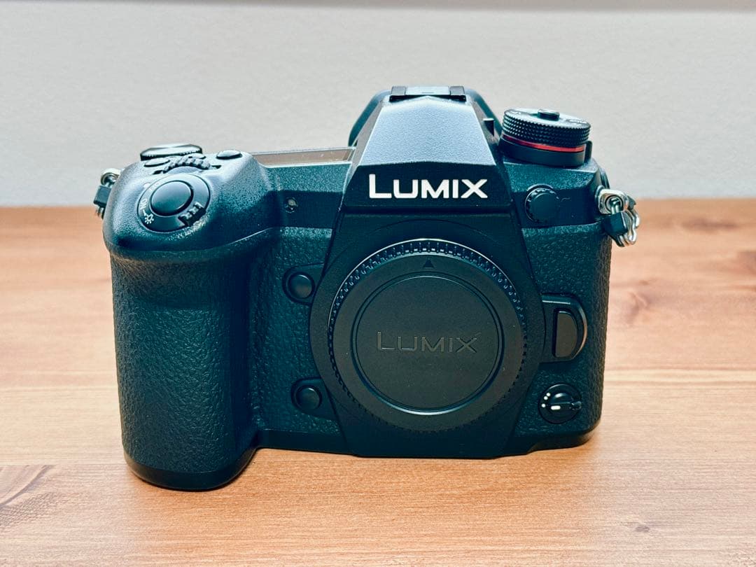 Panasonic LUMIX G9 本体 DC-G9 追加バッテリー