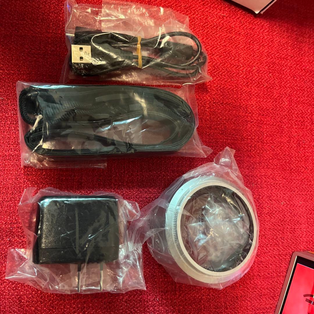 最終値下げ価格　Panasonic DC-GF10W