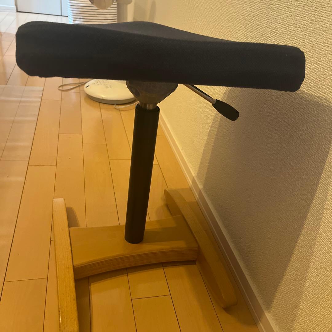 【最終価格】balans Synergy バランスシナジー