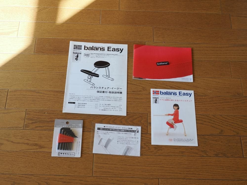 Balans EASY バランスチェアイージー