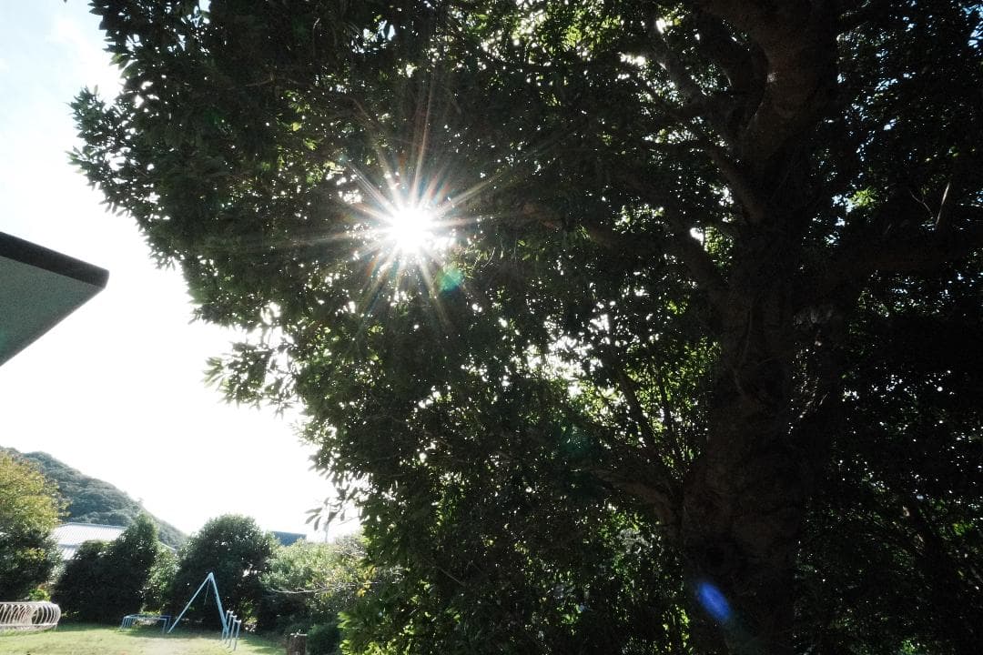 超広角＆魚眼セット　SONY SEL16F28+ワイド、フィッシュコンバーター