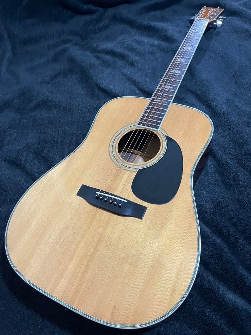 TF Morris W-60 83年製 縦ロゴ ハカランダ ハードケース付属