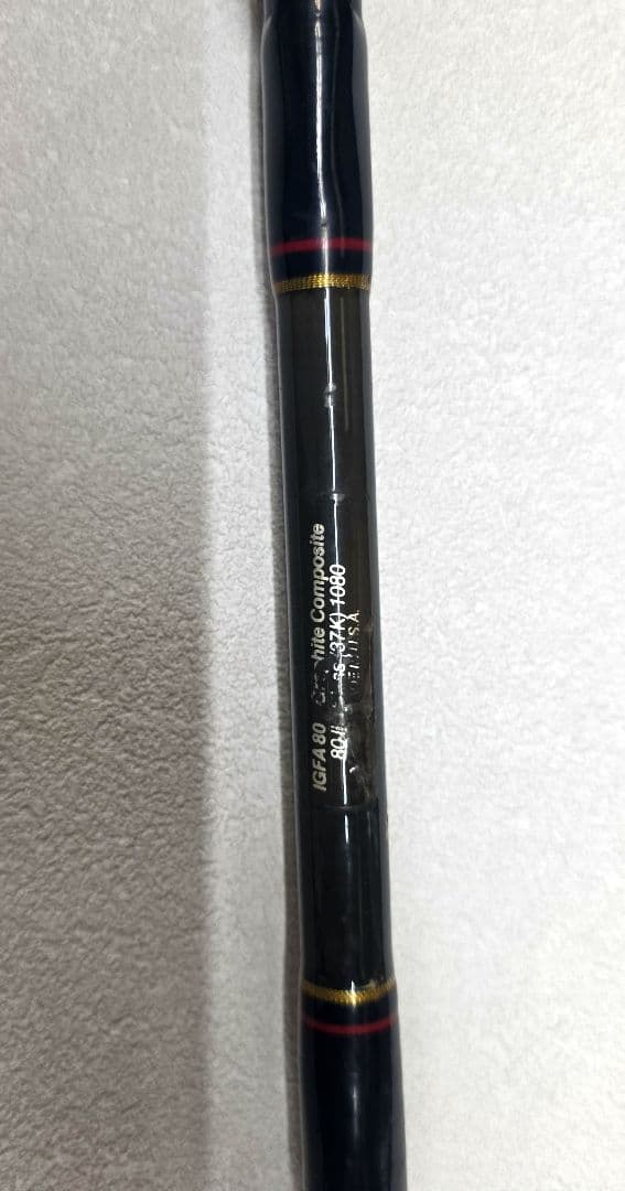 ペン　インターナショナル2　ロッド 80lb