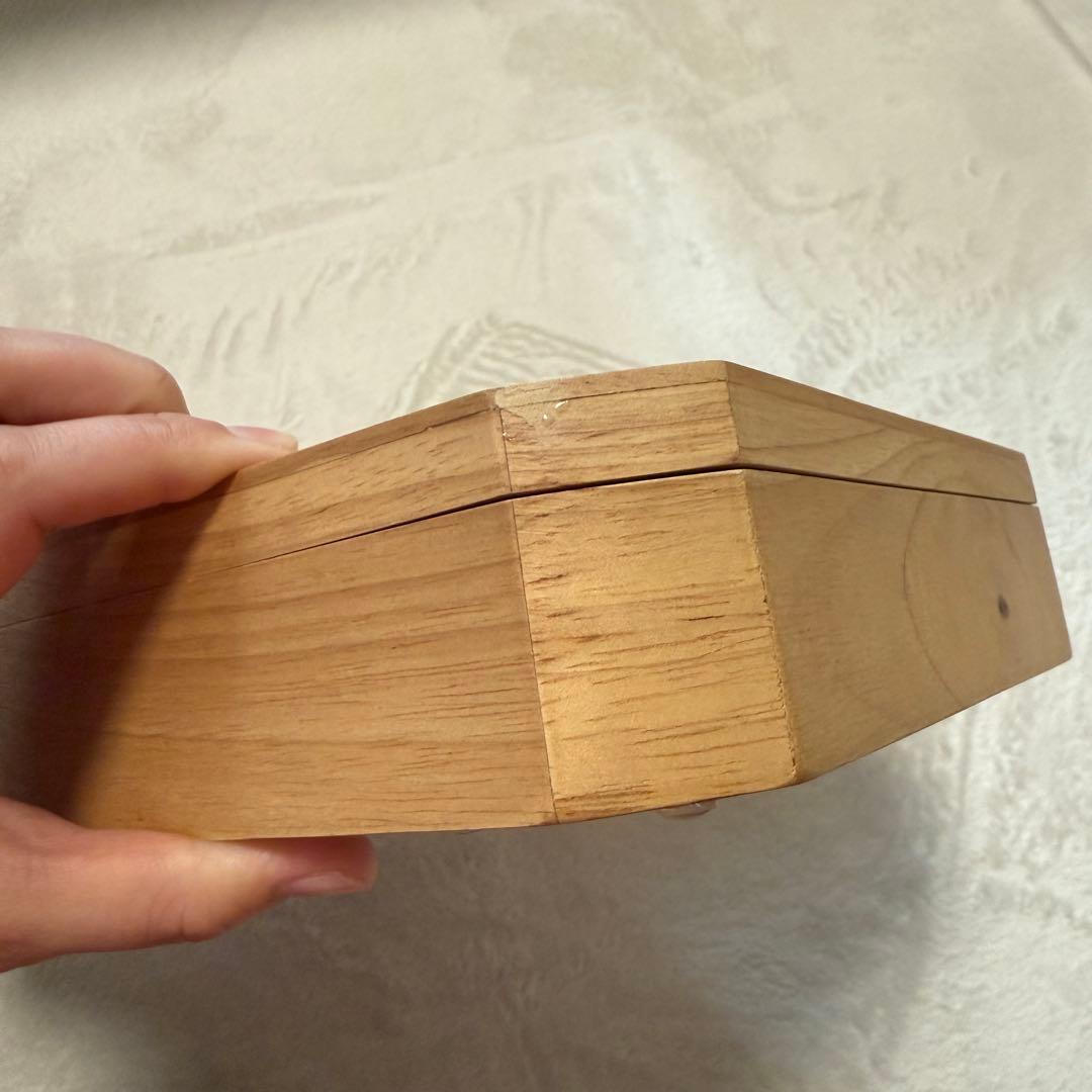 ZARA  アクセサリーケース