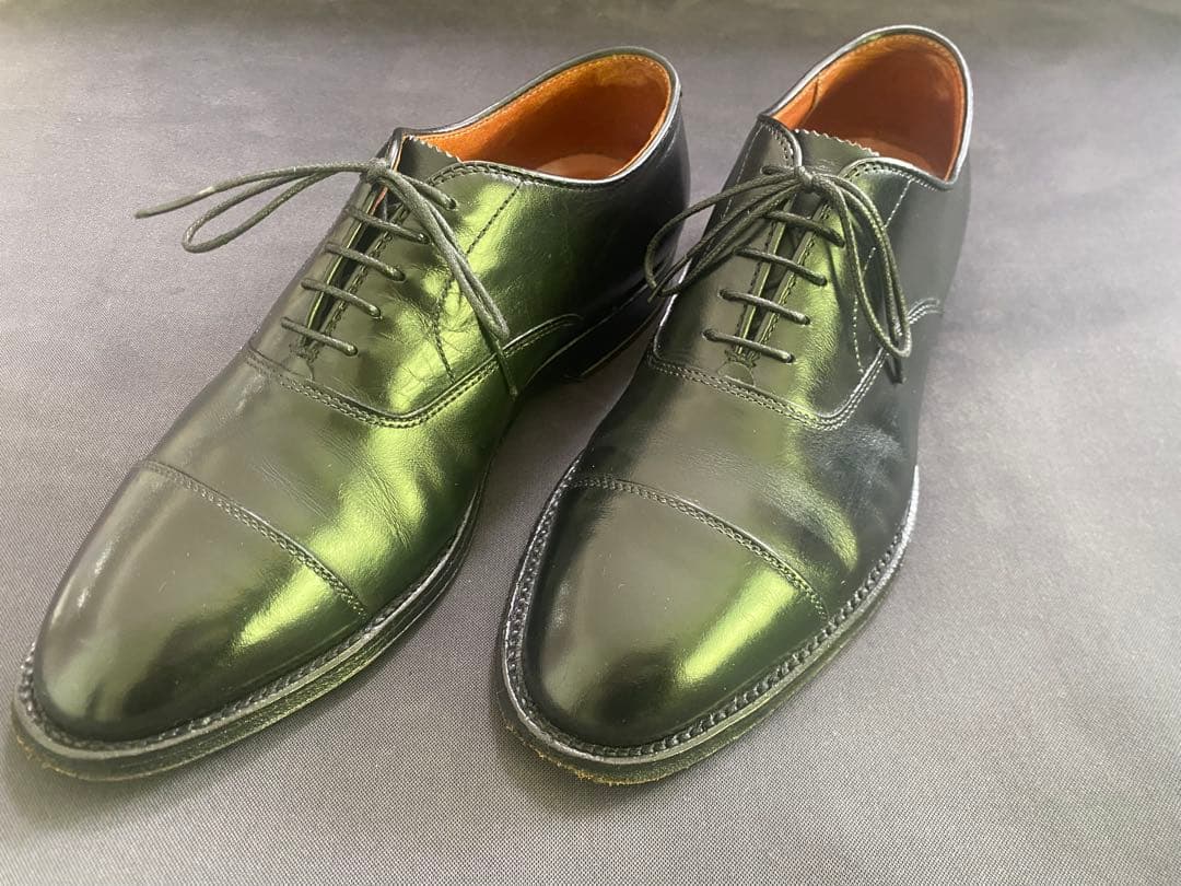 Alden ストレートチップ　キャップトゥ907 8D 26cm